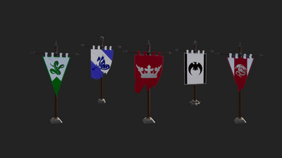 Customizable Dynamic Flags 