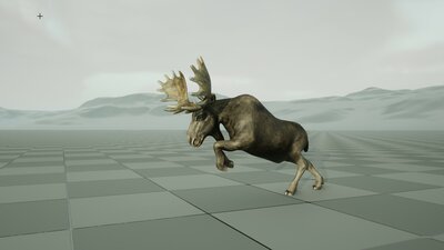 Forest Animal - Moose Bull 