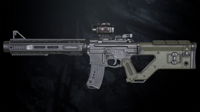 Thorn-Assault rifle With Hands 