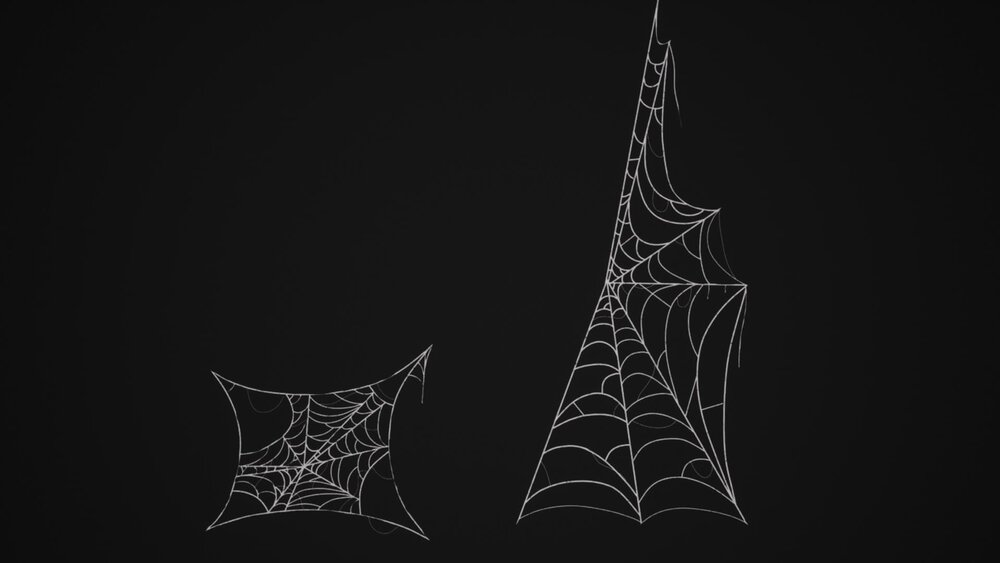 Spiderweb Pack 