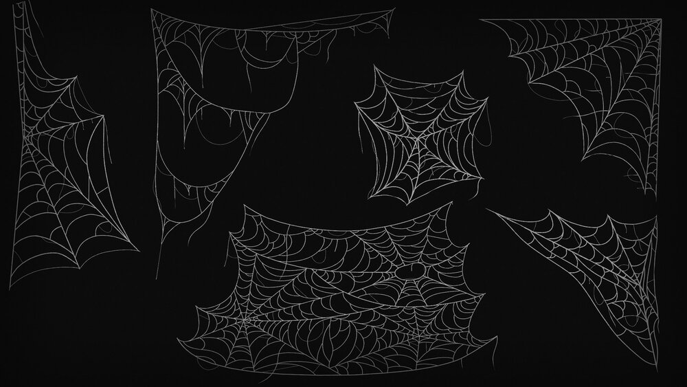 Spiderweb Pack 