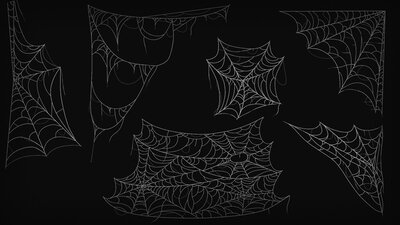 Spiderweb Pack 