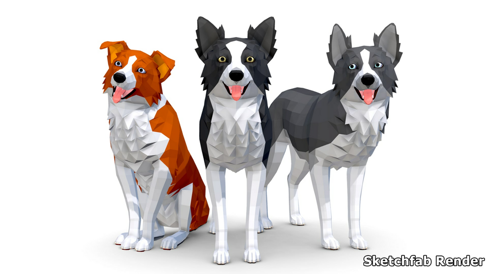 LowPoly Dog - Border Collie 