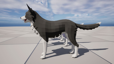 LowPoly Dog - Border Collie 