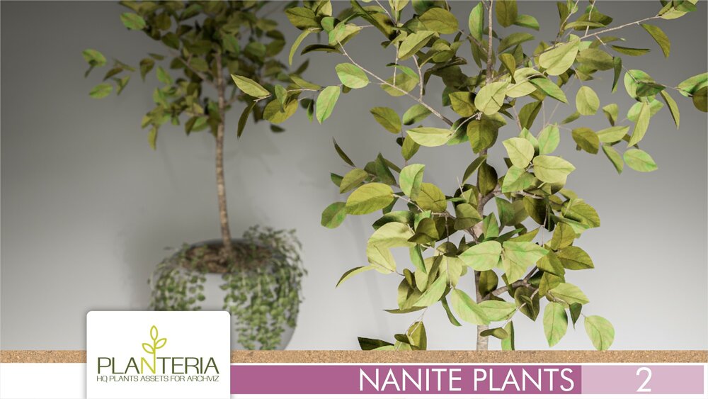 Nanite Plants Vol. 2 