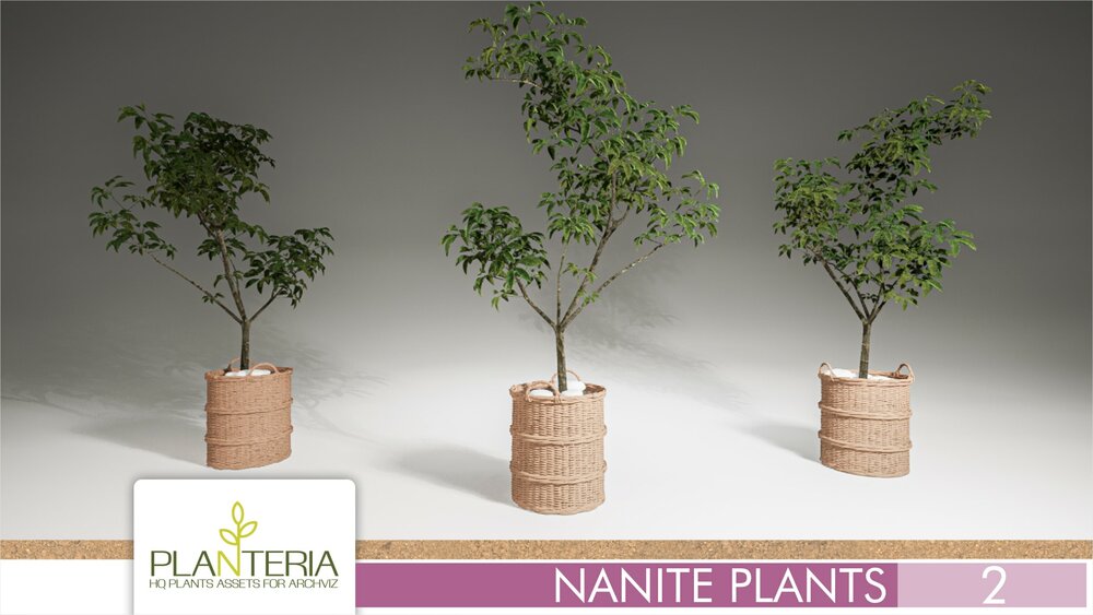 Nanite Plants Vol. 2 