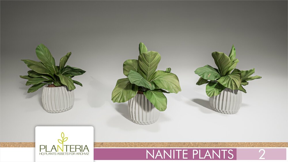 Nanite Plants Vol. 2 