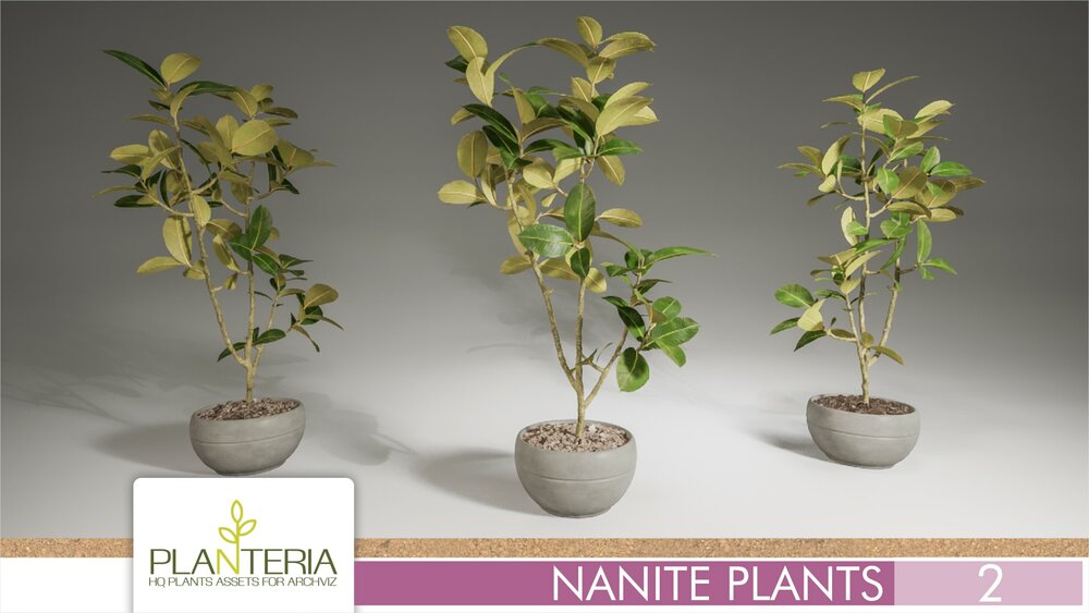 Nanite Plants Vol. 2 