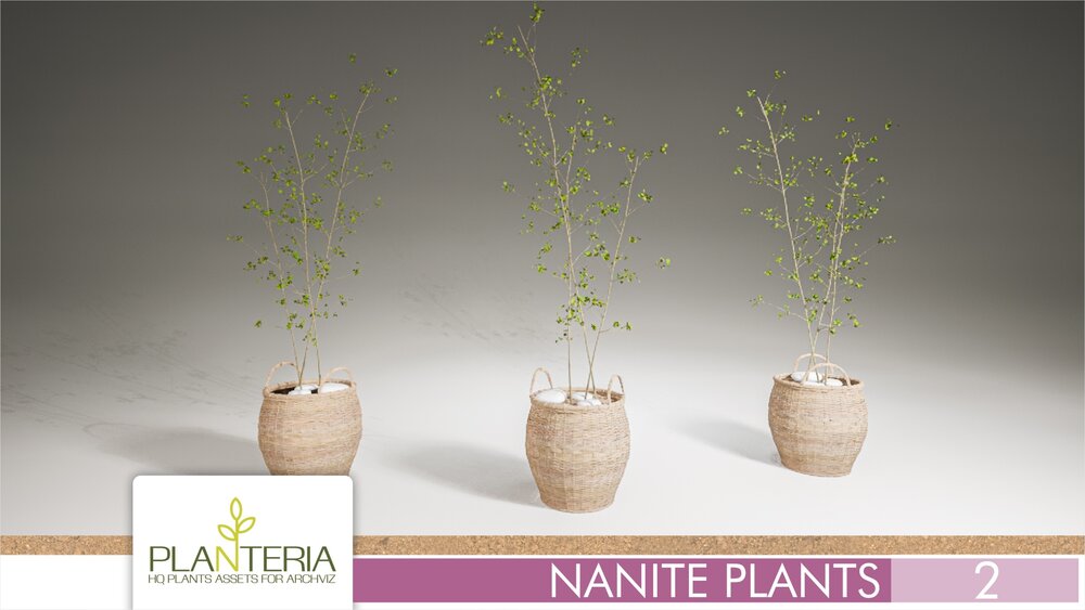 Nanite Plants Vol. 2 