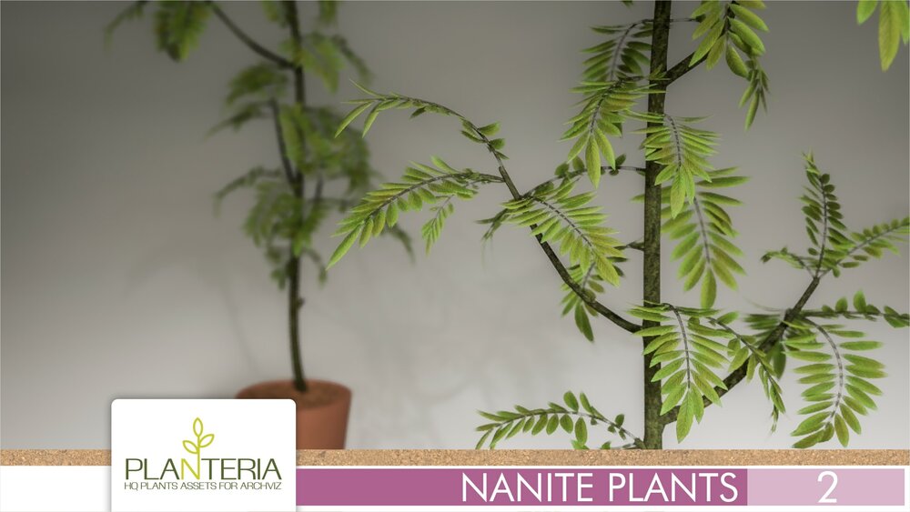 Nanite Plants Vol. 2 