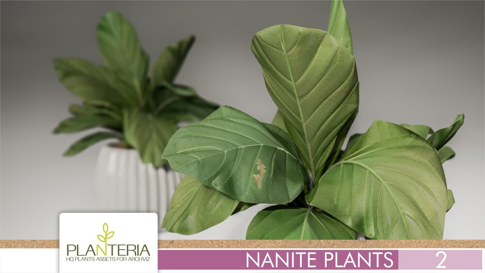 Nanite Plants Vol. 2 