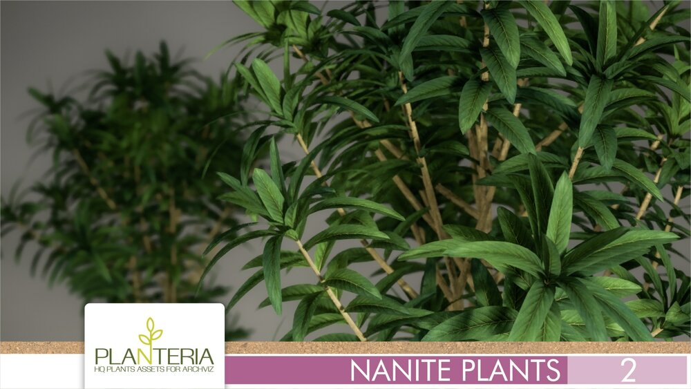 Nanite Plants Vol. 2 