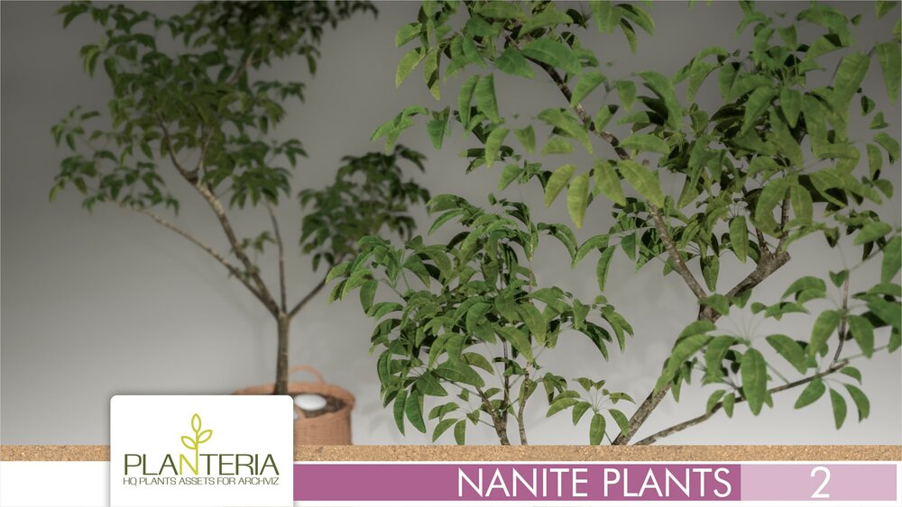 Nanite Plants Vol. 2 