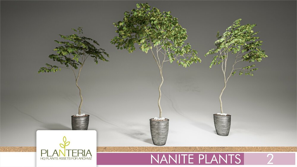 Nanite Plants Vol. 2 