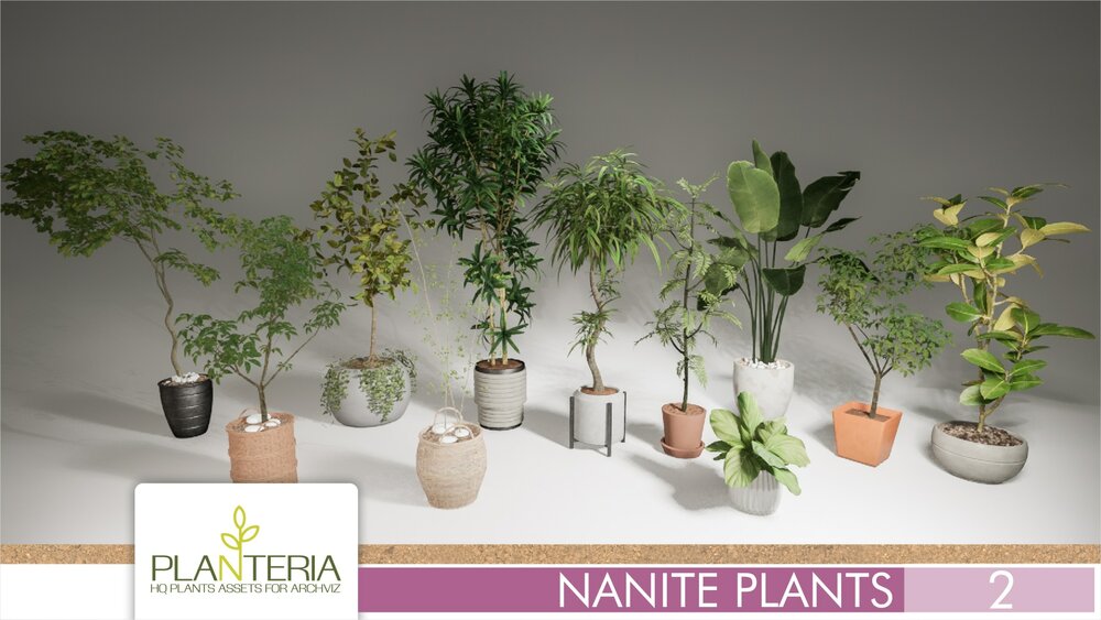 Nanite Plants Vol. 2 