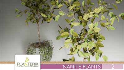 Nanite Plants Vol. 2 