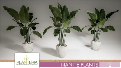 Nanite Plants Vol. 2 