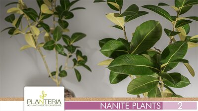 Nanite Plants Vol. 2 