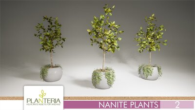 Nanite Plants Vol. 2 