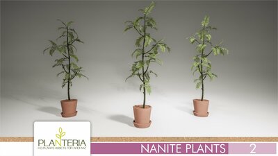 Nanite Plants Vol. 2 