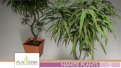 Nanite Plants Vol. 2 