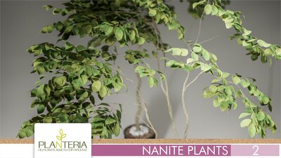 Nanite Plants Vol. 2 