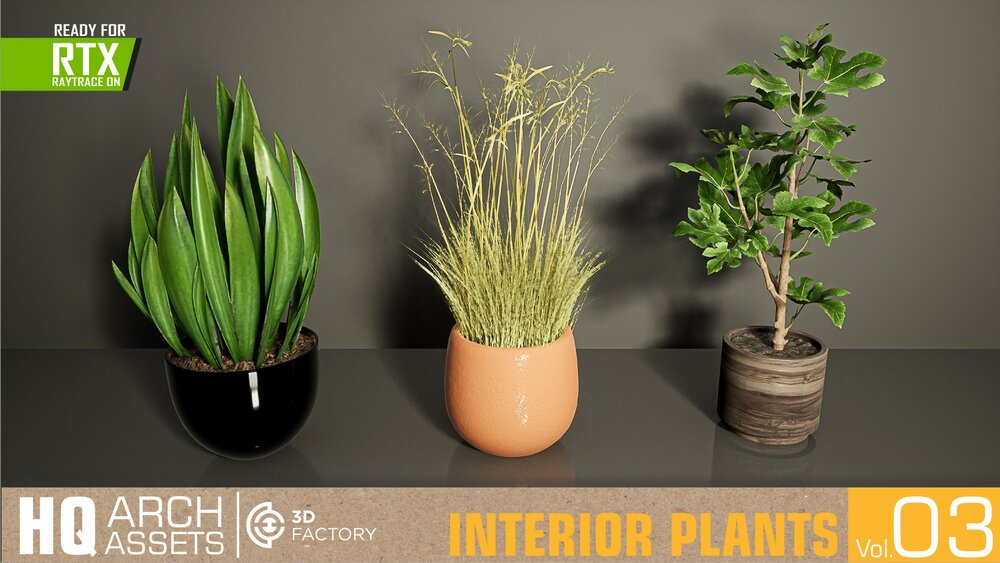 HQ Interior Plants Vol. 3 