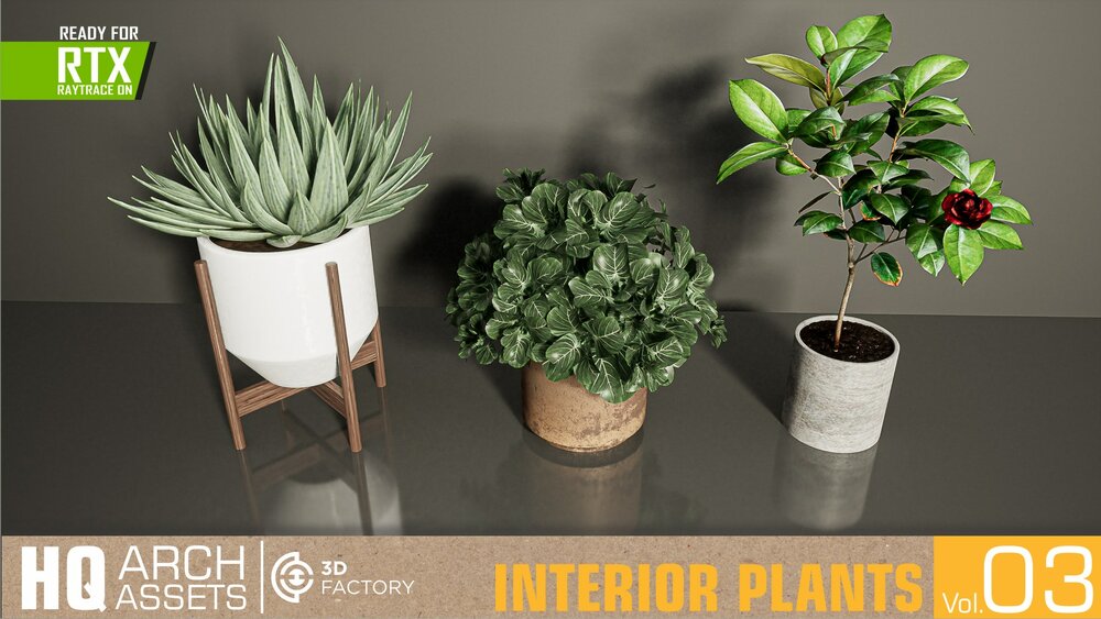 HQ Interior Plants Vol. 3 