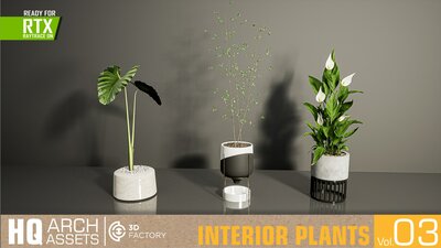 HQ Interior Plants Vol. 3 