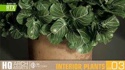 HQ Interior Plants Vol. 3 