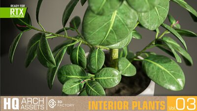 HQ Interior Plants Vol. 3 