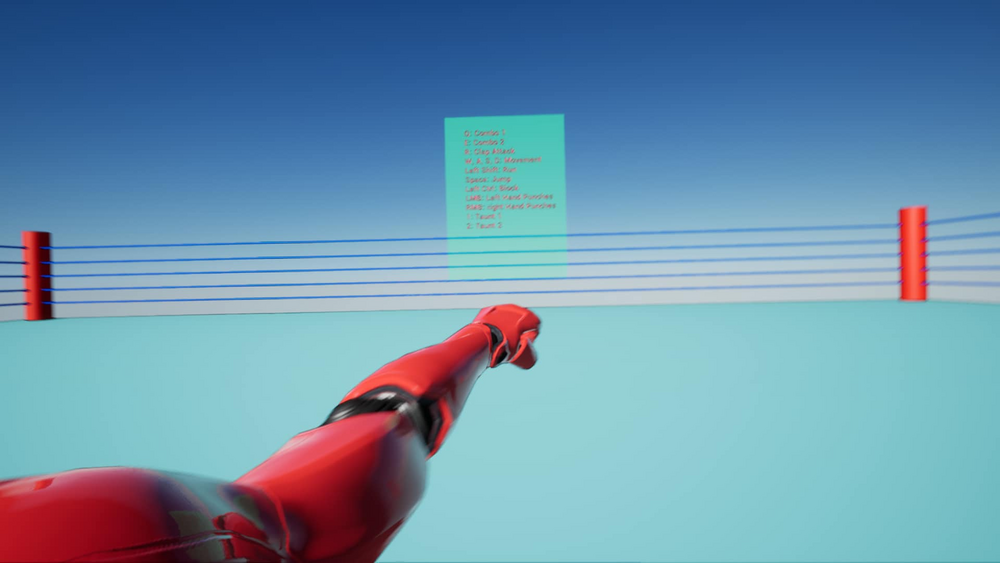 First Person Punch and Melee Animations 