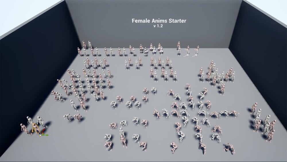 Female Anims Starter 