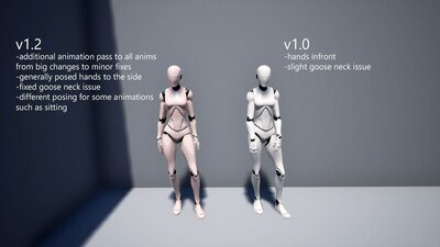 Female Anims Starter 