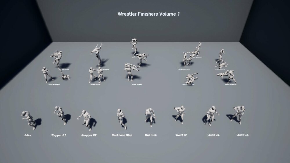 Wrestler Finishers Volume 1 