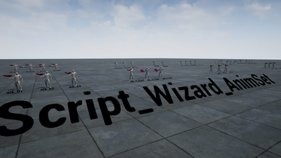 Script Wizard Anim Set 