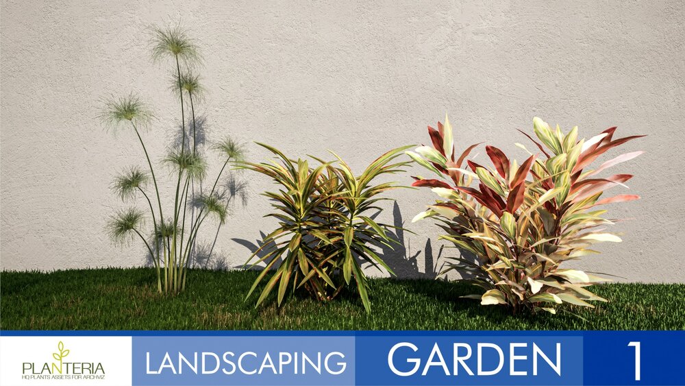 Landscaping Garden 1 