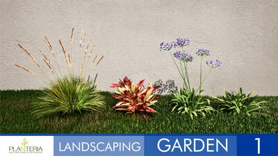 Landscaping Garden 1 