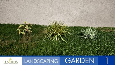 Landscaping Garden 1 