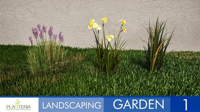 Landscaping Garden 1 