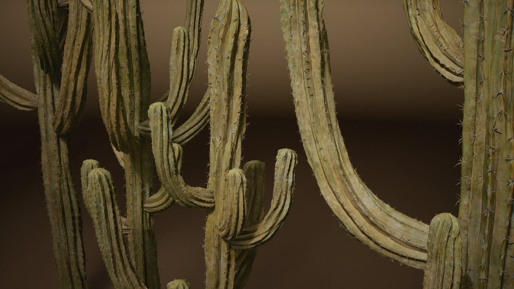 Foliage VOL.1 - Cactus (Nanite) 