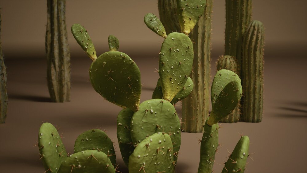 Foliage VOL.1 - Cactus (Nanite) 