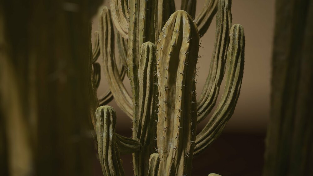 Foliage VOL.1 - Cactus (Nanite) 