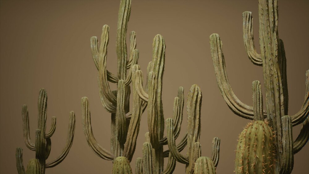 Foliage VOL.1 - Cactus (Nanite) 