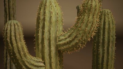 Foliage VOL.1 - Cactus (Nanite) 