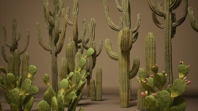 Foliage VOL.1 - Cactus (Nanite) 