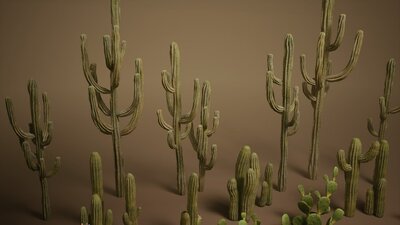 Foliage VOL.1 - Cactus (Nanite) 