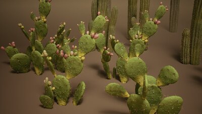 Foliage VOL.1 - Cactus (Nanite) 