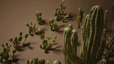 Foliage VOL.1 - Cactus (Nanite) 