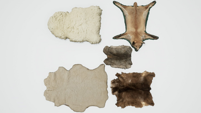 Animal Skin Models Pack (Fox, Sheep, Goat, Rabbit) 